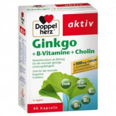 德國 Doppelherz Ginkgo + B-Vitamine + Cholin 銀杏 + B 族維生素 + 膽鹼(40 St.) 代購